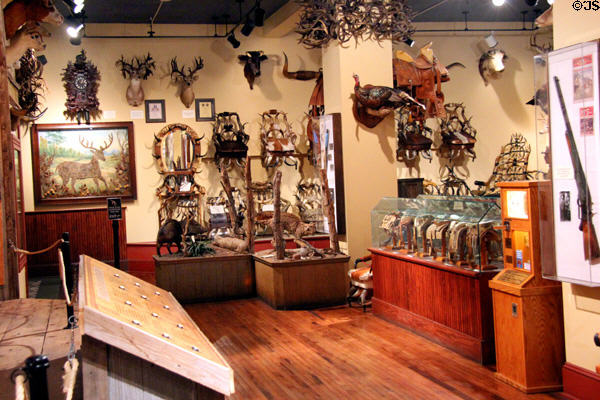 Gallery at Buckhorn Museum. San Antonio, TX.