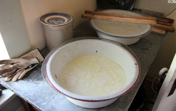 Letting milk set in open pan for cheesemaking at Sauer-Beckmann Farmstead. Stonewall, TX.