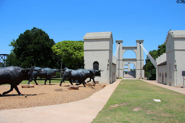 Longhorns of Chisholm Trail sculpture enter approach to Waco Suspension Bridge. Waco, TX.