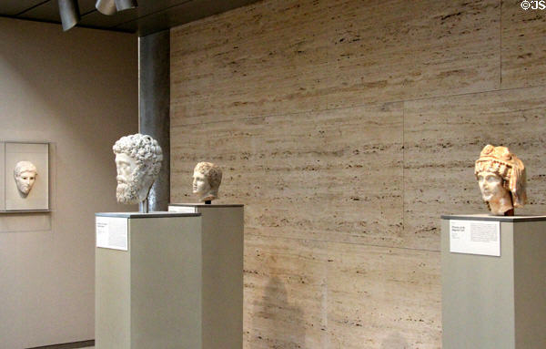 Roman & Greek carved portrait heads at Kimbell Art Museum. Fort Worth, TX.