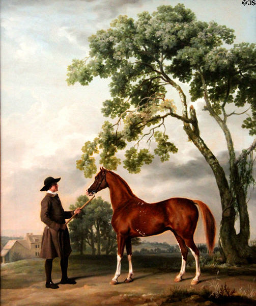 Lord Grosvenor's Arabian Stallion with Groom painting (1766-70) by George Stubbs at Kimbell Art Museum. Fort Worth, TX.