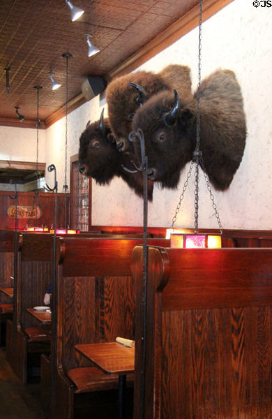Buffalo heads at Stockyards Hotel in Thannisch Block Building. Fort Worth, TX.