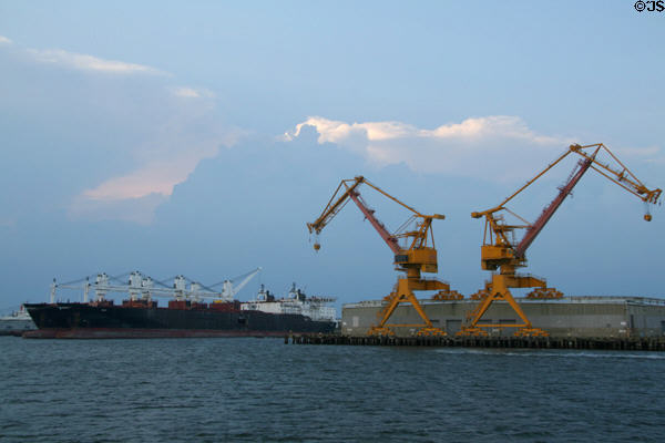 Yellow cranes & container ships n Norfolk Harbor. Norfolk, VA.