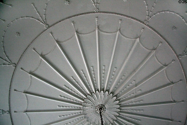 Front hall Adamsesque sculpted ceiling pattern of Moses Myers House museum. Norfolk, VA.