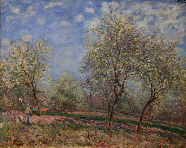 Apple Trees in Flower (1880) by Alfred Sisley at Chrysler Museum of Art. Norfolk, VA.