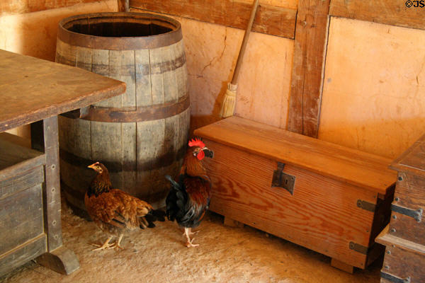 Chickens among storage boxes in storehouse at Jamestown Settlement. Jamestown, VA.