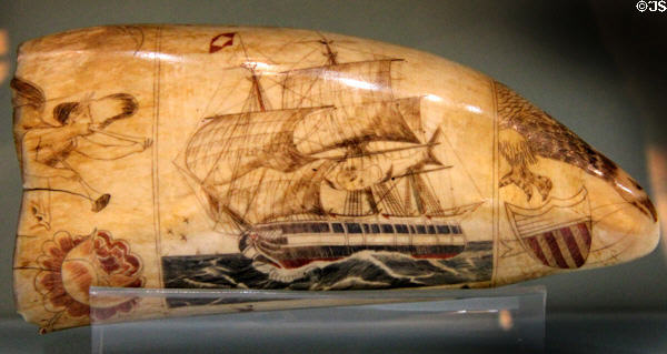 Scrimshaw whale tooth with engraved tall ship (19thC) at Shelburne Museum. Shelburne, VT.