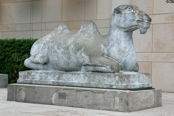 Camel statue outside Seattle Asian Art Museum. Seattle, WA.