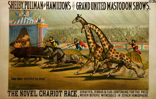 Poster (1881) for Shelby, Pullman & Hamilton's Grand United Mastodon Shows & its Novel Chariot Race between giraffes, zebras & elks, an American show, at Circus World Museum. Baraboo, WI.