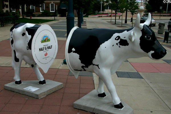 Half & Half by Michael Roberts in Madison CowParade. Madison, WI.