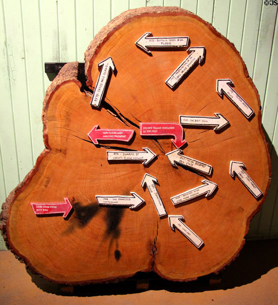 Tree ring timeline exhibit at Discovery Museum of Clay Center for The Arts & Sciences. Charleston, WV.