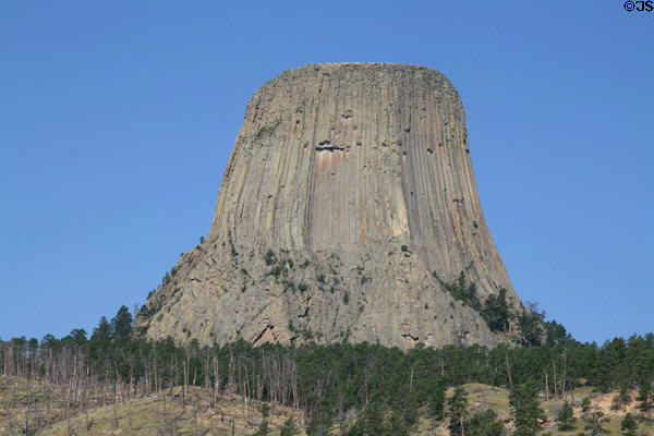 Basalt columns of Devils Tower National Monument. WY.