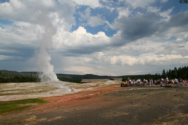 Crowds watching Old Faithful at Yellowstone National Park. WY.