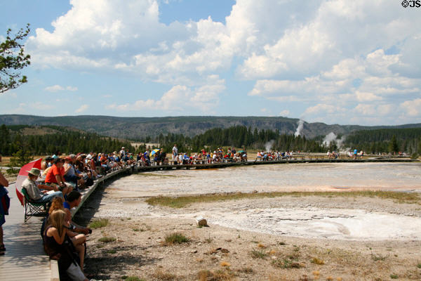 Grand Geyser in Old Faithful area of Yellowstone National Park. WY.