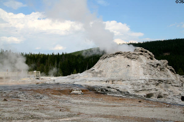 Castle geyser at Yellowstone National Park. WY.