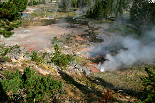 Artist's Paintpots area of Yellowstone National Park. WY.