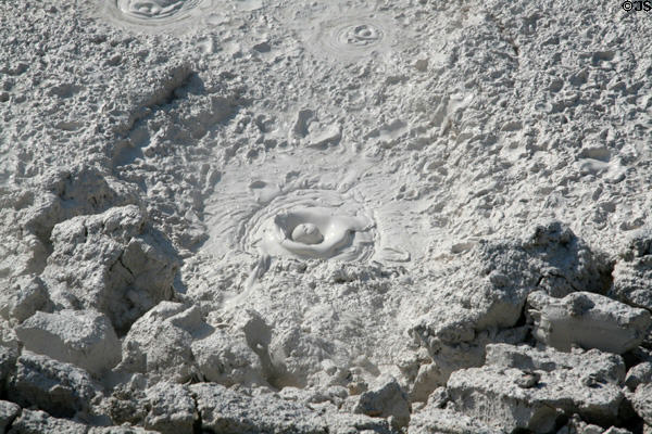Bubbling mudpots of Artist's Paintpots area at Yellowstone National Park. WY.