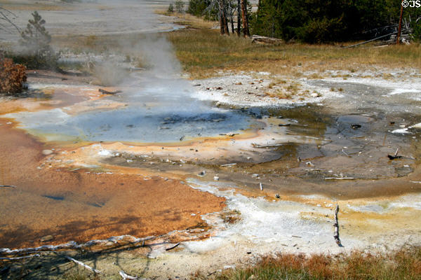 Blue & rust hot springs at Yellowstone National Park. WY.