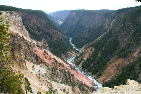 Grand Canyon of the Yellowstone River in Yellowstone National Park. WY.
