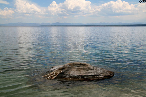 Small geyser cone rises out of Yellowstone Lake in Yellowstone National Park. WY.