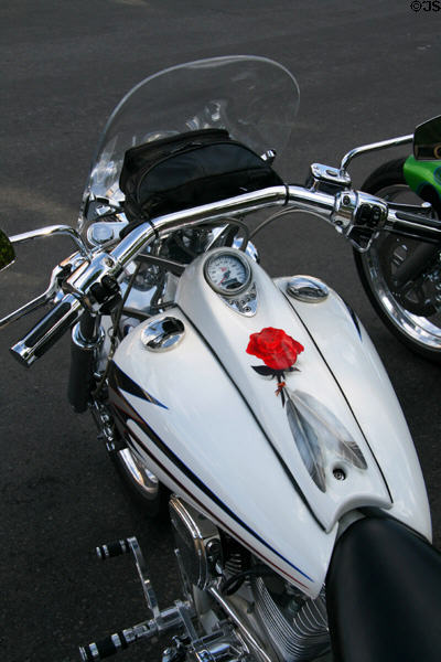 Custom painted motorcycle. Jackson, WY.