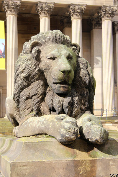 Lion statue (1855) by William Grinsell Nicholl at St George's Hall. Liverpool, England.