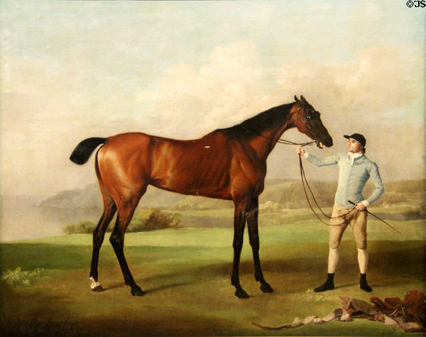 Molly Longlegs horse painting (1762) by George Stubbs at Walker Art Gallery. Liverpool, England.
