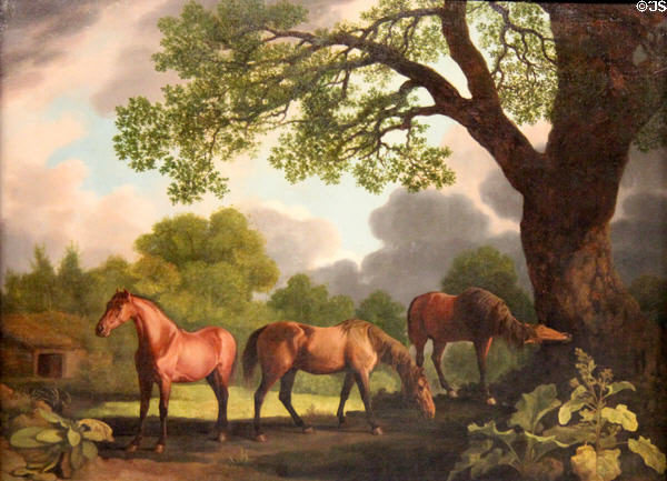 Gnawpost & Two Colts painting (1768) by George Stubbs at Walker Art Gallery. Liverpool, England.
