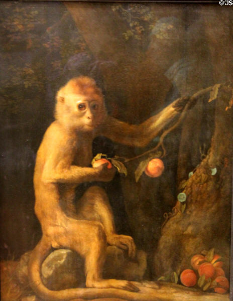 Monkey painting (1799) by George Stubbs at Walker Art Gallery. Liverpool, England.