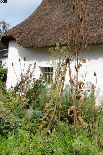 Inset small window & straw roof at Nantwallter Cottage at St Fagans National Museum of History. Cardiff, Wales.