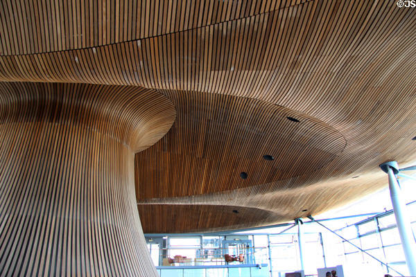 Redwood ceiling in free form waves at Welsh Parliament at Cardiff Bay. Cardiff, Wales.