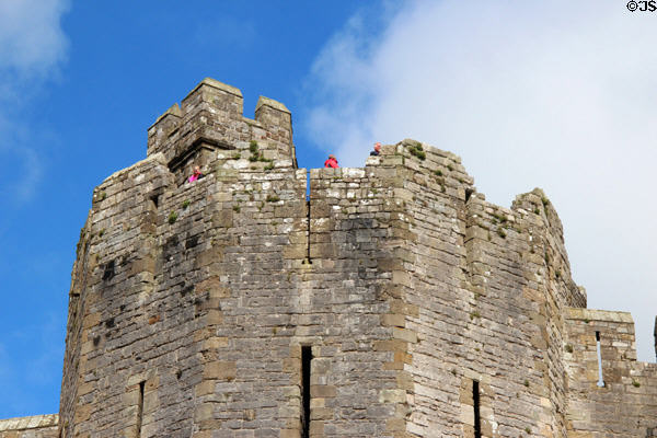 Details of polygonal tower, arrow slits and crenellations at Caernarfon Castle. Caernarfon, Wales.