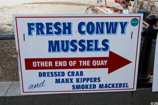 Sign for "Fresh Conwy Mussels" for which Conwy is well known. Conwy, Wales.