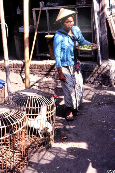 Woman carrying fruit through bird market. Jogyakarta, Indonesia.