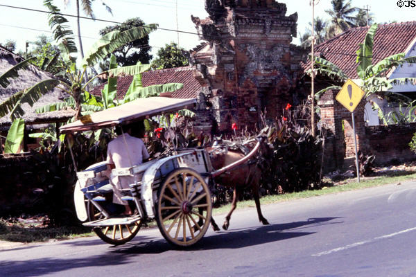 Horse-drawn cart moves past houses. Bali, Indonesia.