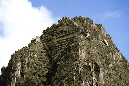 Close-up of Huayna Picchu peak at Machu Picchu. Peru.