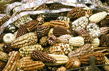 Various types of corn in Pisac market. Peru.