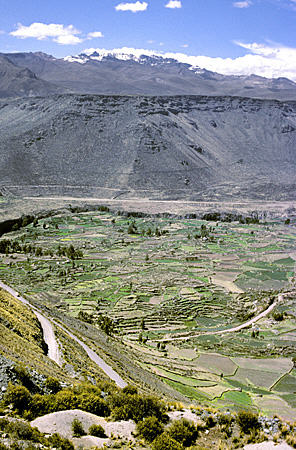 Pre Incan Terraces & road above Chivay. Peru.