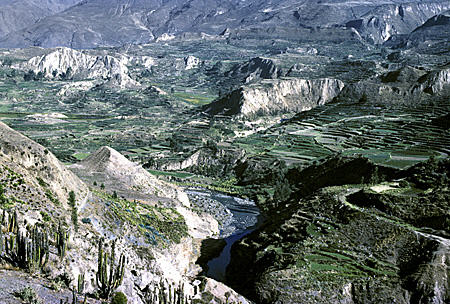 Incan terraces in Colca Canyon. Peru.
