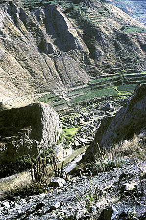 Terraces & Colca River in Colca Canyon. Peru.