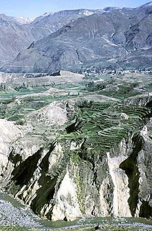 Terraces of Colca Canyon. Peru.