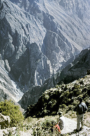 Colca Canyon's Cruz del Condor. Peru.
