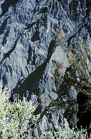 Rock formations of Cruz del Condor in Colca Canyon. Peru.