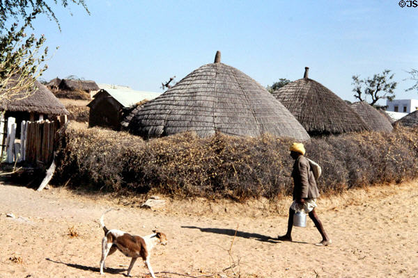 Thatched roof huts of a village protected by thorned hedges. India.