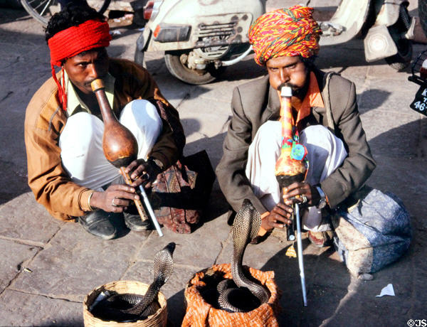 Snake charmers with cobras in Jaipur. India.