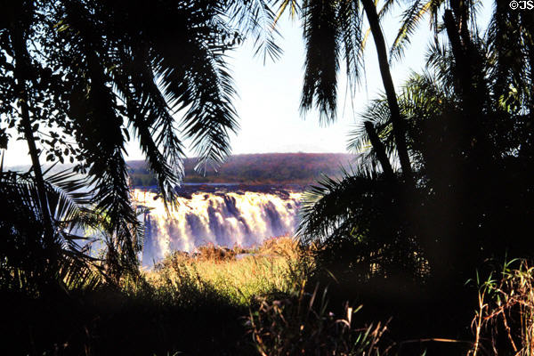Victoria Falls seen through National Park rainforest, which allows one to walk opposite entire width of falls. Zimbabwe.