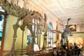 Dinosaur gallery at Museum of Natural History. Vienna, Austria.