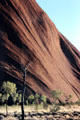 Water & wind-shaped texture of Uluru , a view which changes on every step of four-hour hike around base. Australia.