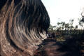 Path around perimeter of Uluru. Australia.