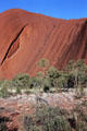 Vertical rills on face of Uluru. Australia.